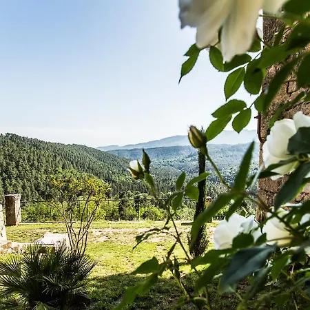 La Maison Des Orangers